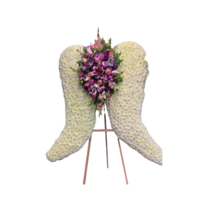 White Wings With Purple and Pink Accents