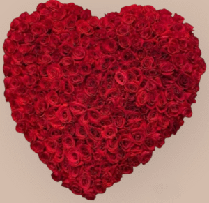 Classic Red Rose Heart